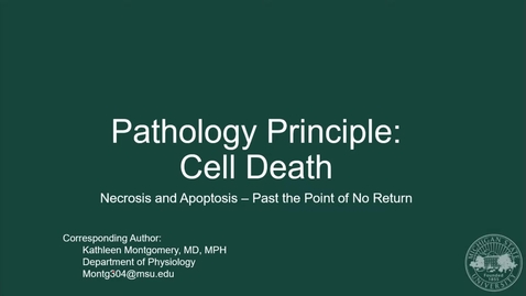 Thumbnail for M1 Week 7 HPL PLM: Pathology Principles: Cell Death