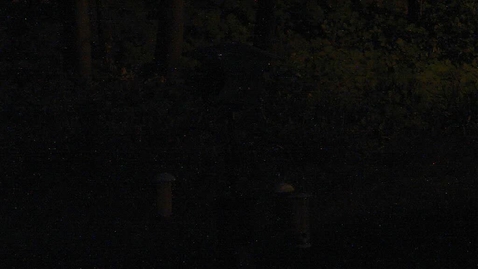 Thumbnail for Holmes NW Central Entrance Camera 07/28/2020