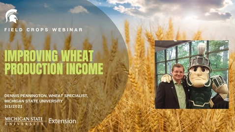 Thumbnail for Field Crops Webinar 3-1-21 - Wheat Production - Dennis Pennington