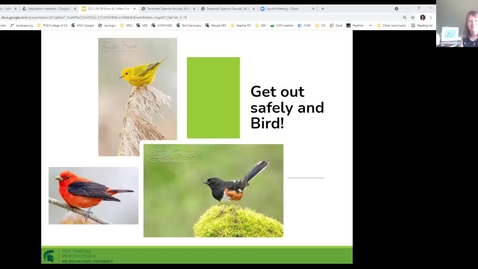 Thumbnail for Birds &amp; Coffee Chat: Grassland Birds
