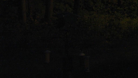Thumbnail for Holmes NW Central Entrance Camera 07/30/2020