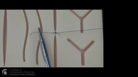 Thumbnail for Simple Interrupted LH suture