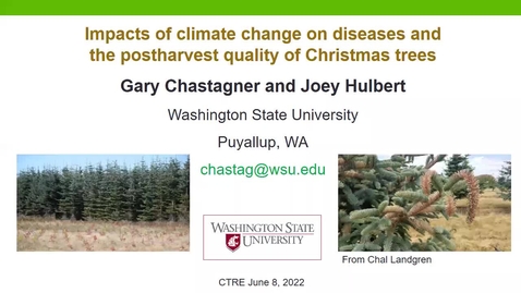Thumbnail for 2022 CTRE: Potential Impacts of climate change on diseases and the postharvest quality of Christmas trees