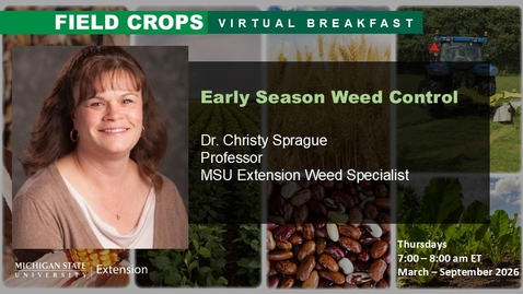 Thumbnail for Field Crops Virtual Breakfast: Early Season Weed Control