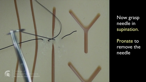 Thumbnail for Vertical Mattress RH suture