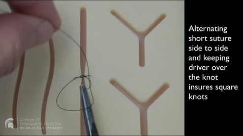 Thumbnail for Simple Interrupted RH suture