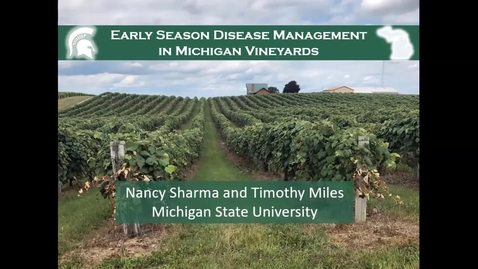 Thumbnail for Grape Kickoff 2020 - Early season disease management in Michigan vineyards