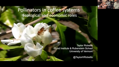Thumbnail for Pollinators in coffee systems Ecological and economic roles