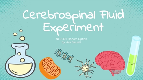 Thumbnail for NEU 301 HO Final Video