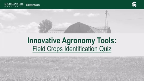 Thumbnail for Innovative Agronomy Tools: Field Crops ID Quiz