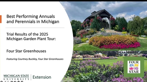 Thumbnail for Best Varieties from Four Star Greenhouses: Michigan Garden Plant Tour 2025