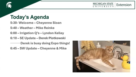 Thumbnail for May 20 Southern Michigan Small Fruit IPM Update