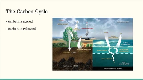 Thumbnail for ISS310: The Carbon Cycle, Greenhouse Gas Emissions, &amp; Your Carbon Footprint