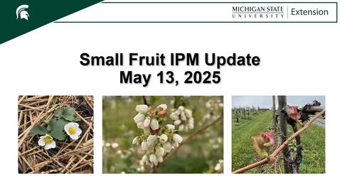 Thumbnail for May 13 Southern Michigan Small Fruit IPM Meeting