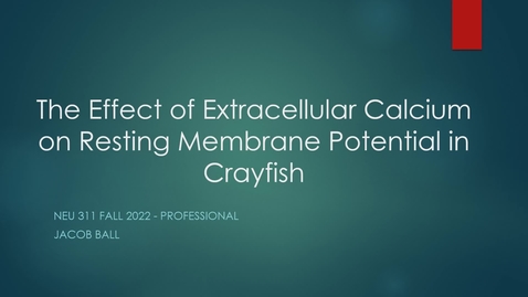 Thumbnail for NEU 311 HO.professional.Jacob Ball