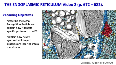 Thumbnail for 006 Endomembrane System Video 2
