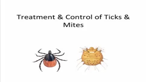 Thumbnail for HM887mitesandticks