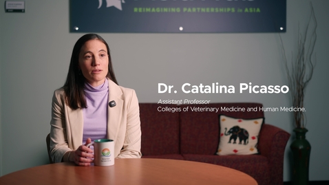 Thumbnail for Asia Hub Research Polylogue: Catalina Picasso