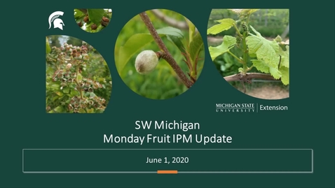 Thumbnail for IPM Meeting June 1 2020