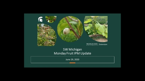 Thumbnail for IPM Fruit Meeting June 29 2020
