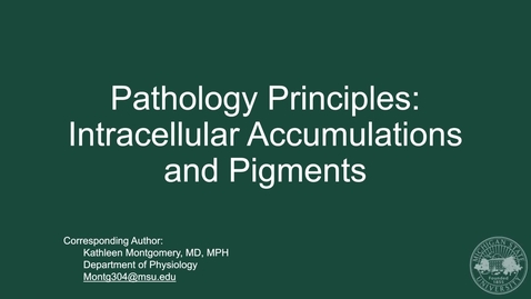 Thumbnail for HPL Week 7 Pathology Principles: Intracellular Accumulations, Endogenous and Exogenous Pigments