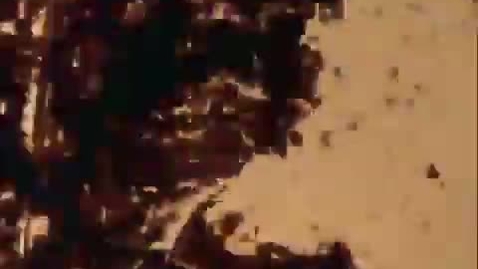 Thumbnail for Mothlight (Stan Brakhage, USA, 1963, 4’)