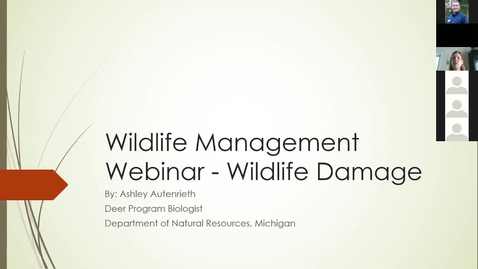 Thumbnail for Wildlife Management and Crop Damage Webinar 3-22-19 - Deer Management - MDNR
