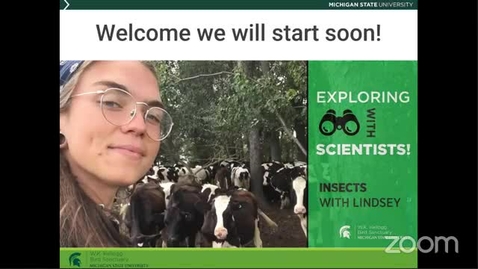 Thumbnail for Exploring with Scientists: Insects with Lindsey Kemmerling