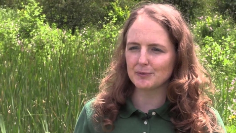 Thumbnail for Reinhold: Ecological treatment systems