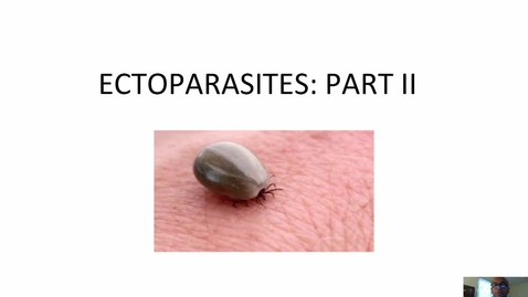 Thumbnail for HM-863-Module-Five-Lecture-Ectoparasites-Part-II