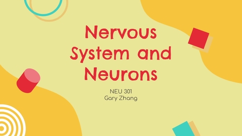 Thumbnail for Nervous System and Neurons