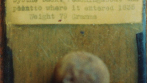 Thumbnail for 1C-9E-39-67-lamqua-a0a0e9-b