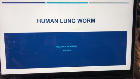 Thumbnail for HM863 human lung worm