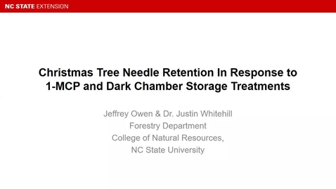 Thumbnail for 2022 CTRE: Christmas tree needle retention in response to 1-MCP and dark chamber storage treatments