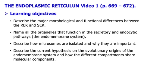 Thumbnail for 006 Endomembrane System Video 1