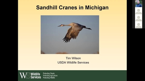Thumbnail for Wildlife Management and Crop Damage Webinar 3-22-19 - USDA's Tim Wilson on Crane Management