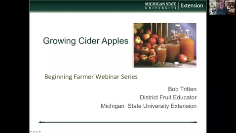 Thumbnail for Growing cider apples