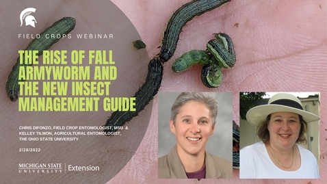 Thumbnail for Field Crops Webinar 2-28-22 - Insect Management - DiFonzo Tilmon