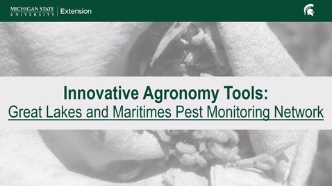 Thumbnail for Innovative Agronomy Tools: Great Lakes and Maritimes Pest Monitoring Network