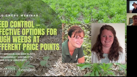Thumbnail for Field Crops Webinar 3-8-21 - Weed Management - Christy Sprague and Erin Burns