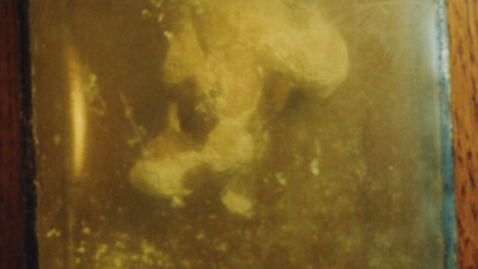 Thumbnail for 1C-9E-38-67-lamqua-a0a0e8-b