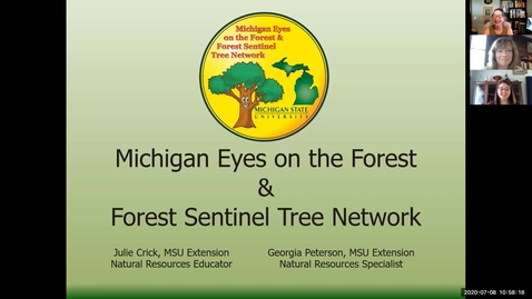 Thumbnail for Wild About Backyard Conservation: Eyes On the Forest