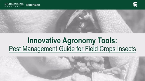 Thumbnail for Innovative Agronomy Tools:  Insect Pest Management Guide