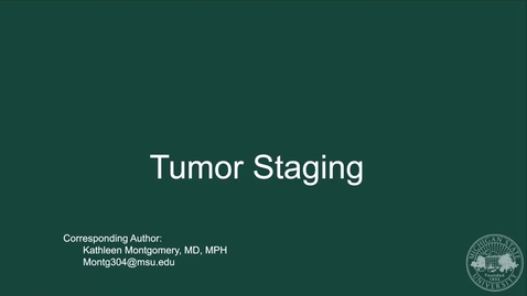 Thumbnail for PLM - Tumor Staging
