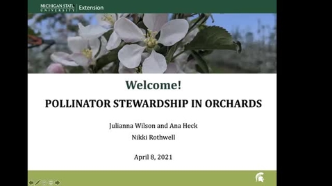 Thumbnail for Pollinator Stewardship in Orchards