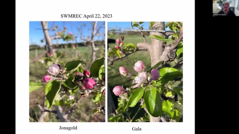 Thumbnail for SFruitIPMUpdate04222024