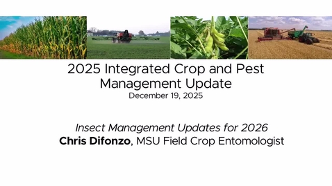 Thumbnail for Insect Management Updates for 2026 - Chris Difonzo, MSU Field Crop Entomologist 