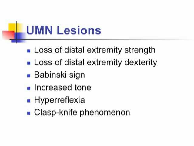 Neurologic Examination Videos And Descriptions Motor Anatomy
