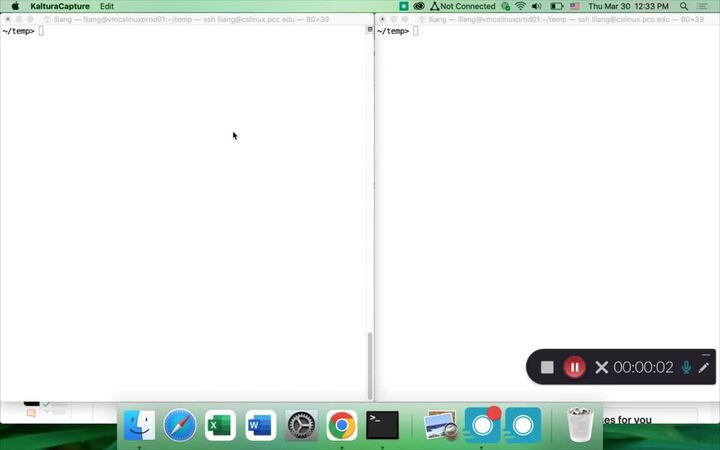 vim with mulitiple files