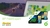 BP FleetExpert szoftver